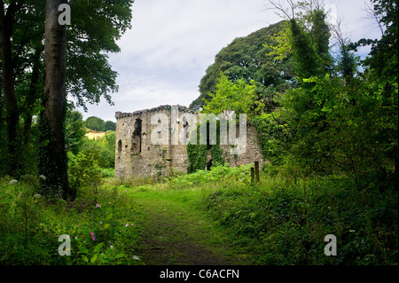 I resti del Candleston Candlestone Castle a Merthyr Mawr in Galles Foto Stock