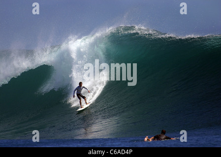 Surfer equitazione grande onda a G-Land. Alas Purwo National Park, East Java, Java, Indonesia, Asia sudorientale, Asia Foto Stock