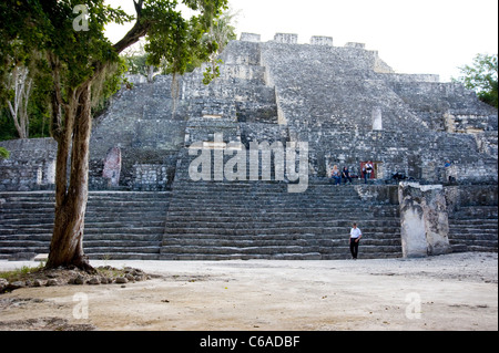 Rovine di Calakmul Foto Stock