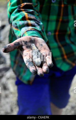 Un ragazzo giovane che mostra un pesce morto in mano a causa della siccità del server centrale in Iran. Foto Stock