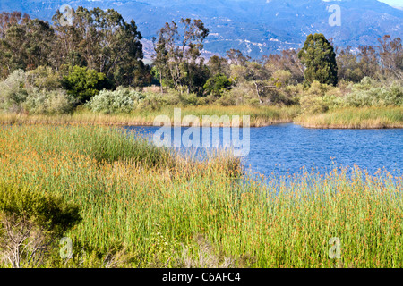 Vista sul lago di Carneros di Goleta, California Foto Stock