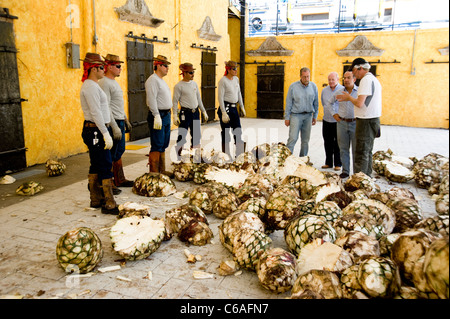 Presidente Calderon e Peter Greenberg touring Jose Cuervo stabilimento di Tequila durante le riprese di Messico Royal Tour Foto Stock