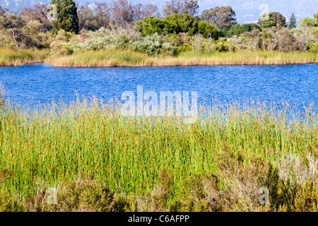 Vista sul lago di Carneros in Goleta vicino a Santa Barbara in California Foto Stock