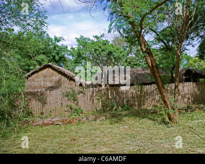 Dimora di stile tribale, Bodo Kachari's house esposti in un museo, Madhya Pradesh, India Foto Stock