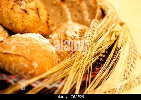 Pane integrale e panini con spighe di grano e orzo Foto Stock