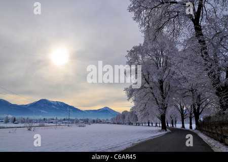 La tettoia strada in un bellissimo paesaggio invernale nelle Alpi Bavaresi Foto Stock