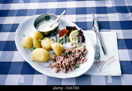 Polpa di granchio piatto su una tavola a scacchi panno in un ristorante in Cranz a Altes Land vicino ad Amburgo. Foto Stock