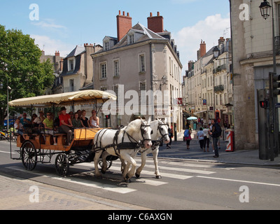 Cavallo e Carrozza con escursione di turisti nel centro della città di Blois, Valle della Loira, Francia Foto Stock