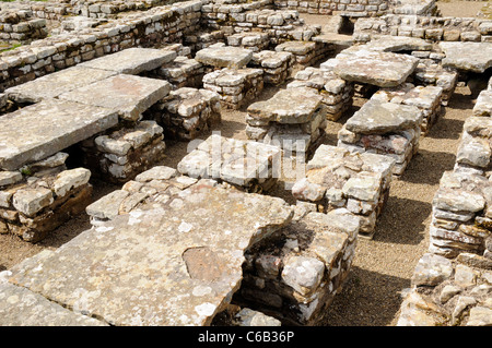 Il Pretorio o comandante della residenza. Rovine romane di Chesters Fort, il vallo di Adriano, Inghilterra. Foto Stock