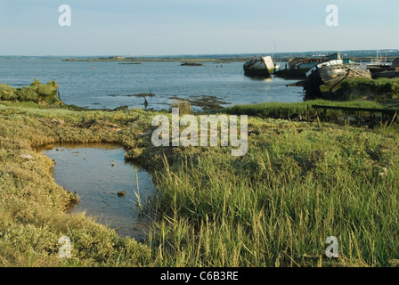 Hoo St Werburgh, Kent Marshes l'estuario del fiume Medway ha abbandonato le barche. Naufragi. Intorno al fiume Medway, le paludi sono quelle che appaiono in Great Expectations di Charles Dickens, nel libro sono presentate come paludi intorno al Tamigi. 2011, 2010S UK HOMER SYKES Foto Stock