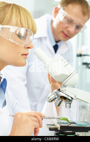 Piuttosto biochemist studiando nuova sostanza nel microscopio in laboratorio Foto Stock