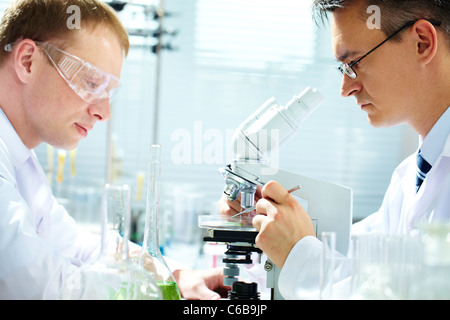 Ritratto di due maschio farmacisti la ricerca in laboratorio Foto Stock