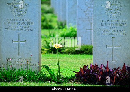 Guerra di Delhi Cimitero e memoriale, Delhi, India. Mantenuto dalla Commissione delle tombe di guerra del Commonwealth Foto Stock