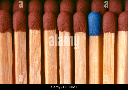 Extreme close-up di marrone con punta di fiammiferi di sicurezza con uno blu-match con punta in piedi fuori. Foto Stock