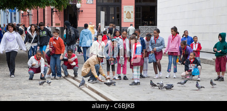 Cuba, La Habana. Scuola bambini alimentazione Piccioni in strada. Foto Stock