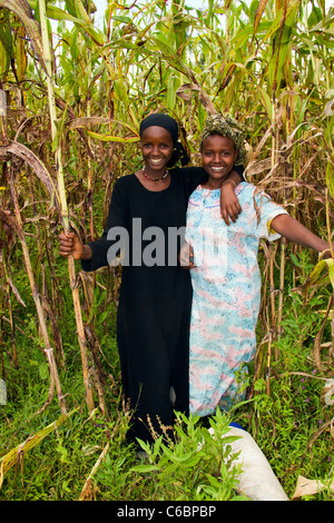 Ragazze etiope nel campo di mais Etiopia Foto Stock