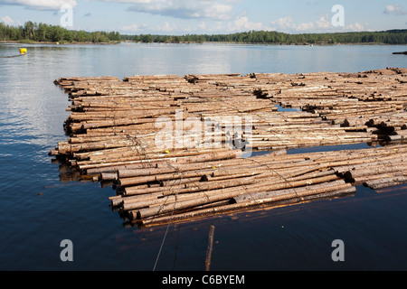 Una zattera di log in Lappeenranta FINLANDIA Foto Stock