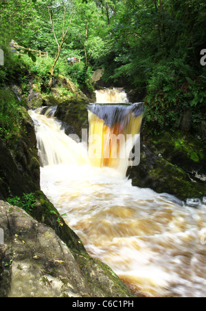La pecca Twin Falls sul Ingleton Waterfalls Trail, Ingleton, North Yorkshire, Yorkshire Dales National Park Foto Stock