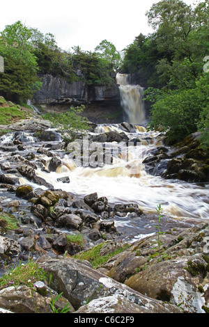 Thornton vigore cascata sul Ingleton Waterfalls Trail, Ingleton, North Yorkshire, Yorkshire Dales National Park England Regno Unito Foto Stock