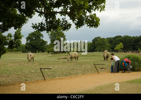 La madre e il bambino guardando i rinoceronti di Cotswold Wildlife Park in Burford Oxfordshire Foto Stock