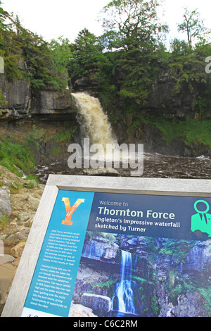 Una bacheca con Thornton vigore cascata sullo sfondo a Ingleton Waterfalls Trail, Yorkshire Dales, England, Regno Unito Foto Stock