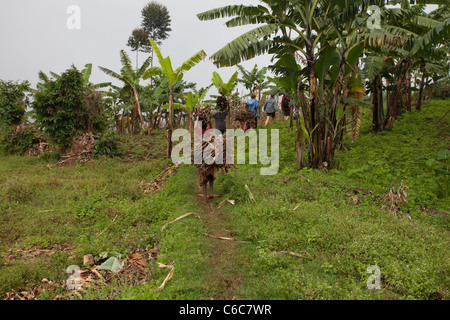 I bambini tornando a casa dopo la raccolta di fasci di legna da ardere nelle foreste, Mount Elgon, Uganda, Africa Foto Stock