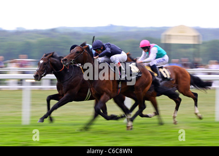 Mikhail Glinka e Johnny Murtagh vincendo il Queens vaso Royal Ascot - Day 4 Berkshire, Inghilterra - 18.06.10 Foto Stock