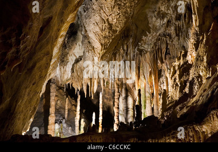 Stalattiti e stalagmiti nella grotta di pietra calcarea delle Grotte di Han-sur-Lesse / Grottes de Han, Ardenne belghe, Belgio Foto Stock