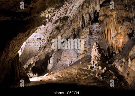 Stalattiti e stalagmiti nella grotta di pietra calcarea delle Grotte di Han-sur-Lesse / Grottes de Han, Ardenne belghe, Belgio Foto Stock