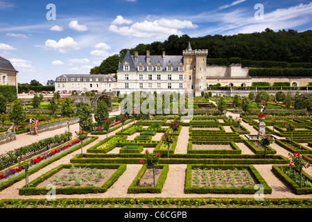 Giardino formale al castello di Villandry, Indre et Loire, Francia, Europa Foto Stock