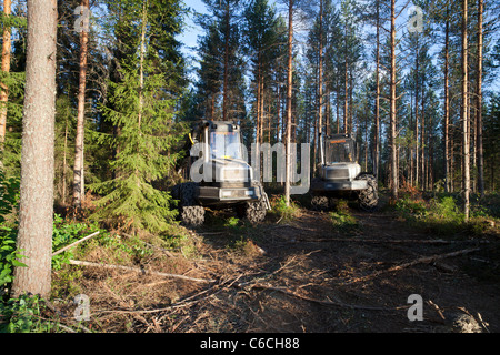 Ponsse Ergo e Bison nella foresta di taiga , Finlandia Foto Stock