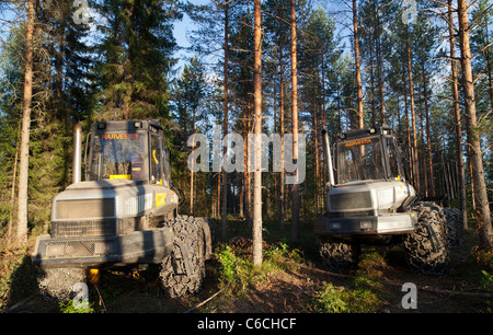 Ponsse Ergo e Bison nella foresta di taiga , Finlandia Foto Stock