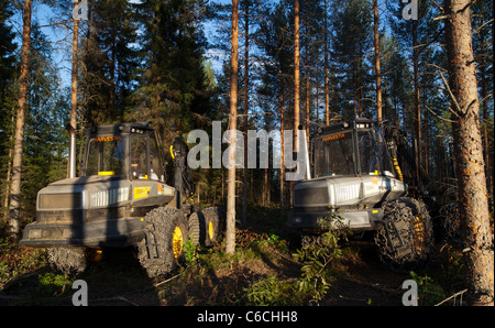 Ponsse Ergo e Bison nella foresta di pini taiga , Finlandia Foto Stock