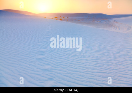 Le dune di sabbia bianca al tramonto Foto Stock