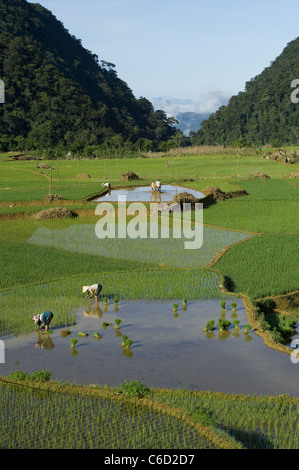 Divieto figlio (paese). Una remota comunità di difficile accesso in montagna nel nord-ovest del Vietnam. Foto Stock