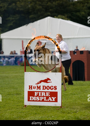 Southport Flower Show   persone ed eventi 2011, Victoria Park, Southport, Merseyside, Regno Unito Foto Stock