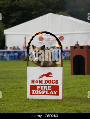 Southport Flower Show   persone ed eventi 2011, Victoria Park, Southport, Merseyside, Regno Unito Foto Stock