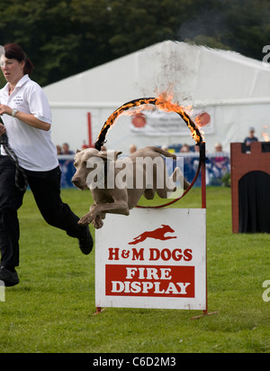 Southport Flower Show   persone ed eventi 2011, Victoria Park, Southport, Merseyside, Regno Unito Foto Stock