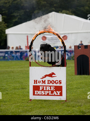 Southport Flower Show   persone ed eventi 2011, Victoria Park, Southport, Merseyside, Regno Unito Foto Stock