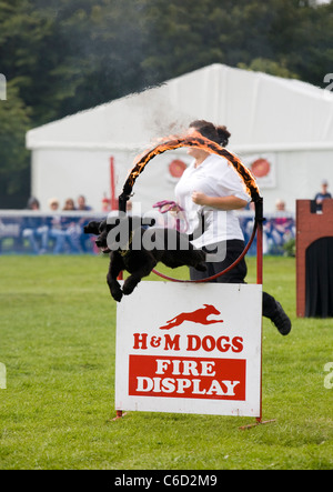 Southport Flower Show   persone ed eventi 2011, Victoria Park, Southport, Merseyside, Regno Unito Foto Stock