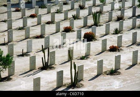 EL ALAMEIN CIMITERO DI GUERRA IN EGITTO. Mantenuto dalla Commissione delle tombe di guerra del Commonwealth. Foto Stock