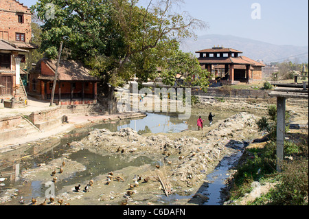 Fortemente fiume inquinato con anatre in Kathmandu, Regione centrale, Nepal Foto Stock