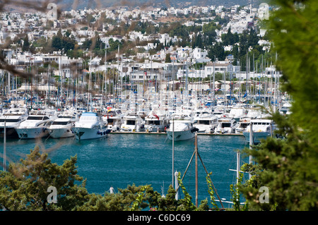 Barche e yacht al porto di Bodrum in Turchia. Bodrum è un resort per vacanze nel sud-est della Turchia nella Provincia di Mugla Foto Stock