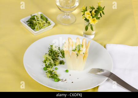 Gli asparagi di Chartreuse con insalata di erbe e salsa di cerfoglio Foto Stock