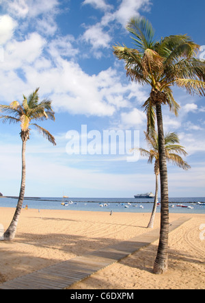 Playa de Las Teresitas, Tenerife, Isole Canarie, Spagna, Europa Foto Stock