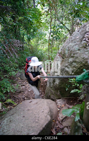 Donna camminare attraverso la foresta pluviale, Pulau Isola di Tioman, Malaysia, Asia sud-orientale, Asia Foto Stock