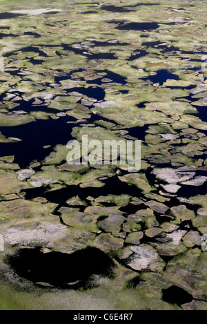 Dettaglio del cratere paludoso piano di Rano uae. Rapa Nui, Isola di Pasqua, Oceano Pacifico, Cile, Sud America Foto Stock
