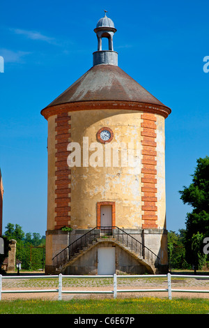 L'Europa, Francia, Yvelines (78), Rambouillet, La Bergerie Nationale (ovile) Foto Stock