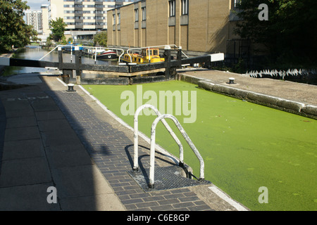 Lenti d'acqua sul Regents Canal a Islington Londra Foto Stock