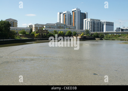 East India Dock bacino, East London Foto Stock